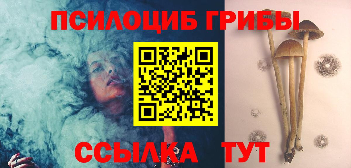 Псилоцибиновые грибы Psilocybe  Вход с VPN  Бердск 